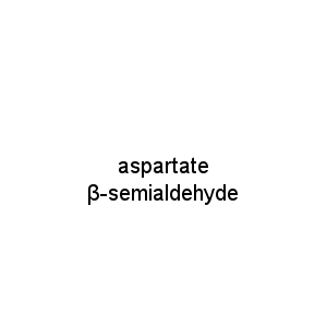 aspartate β-semialdehyde
